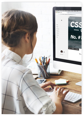 website designing company in delhi
